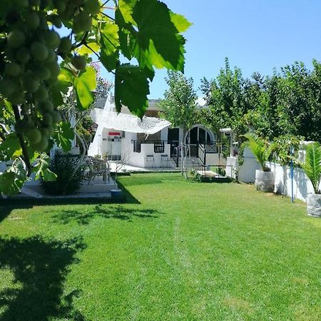 Villa Dina Hanya Dış mekan fotoğraf