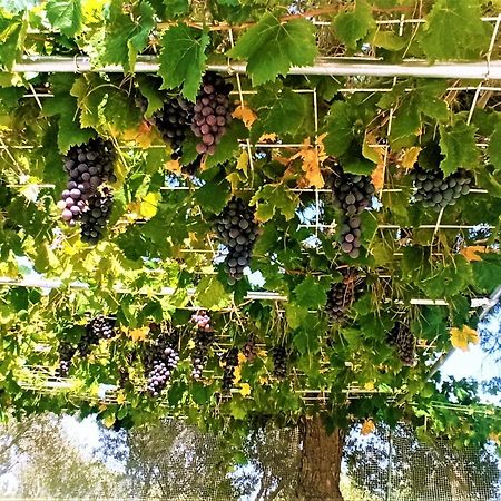 Villa Dina Hanya Dış mekan fotoğraf
