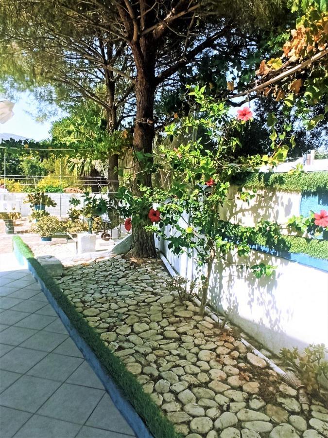 Villa Dina Hanya Dış mekan fotoğraf